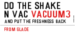 Do The Shake  N Vac