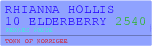 Rhianna Hollis 10 Elderberry