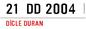 21  DD 2004