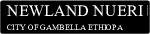 Newland Nueri