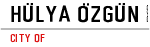 HÜLYA ÖZGÜN