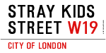 Stray Kids Street