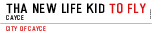 THa New Life Kid