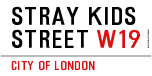 Stray Kids Street