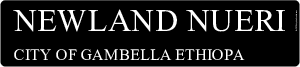 Newland Nueri