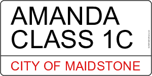AMANDA Class 1C
