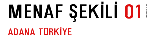 Menaf Şekİlİ