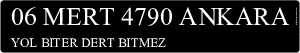 06 MERT 4790